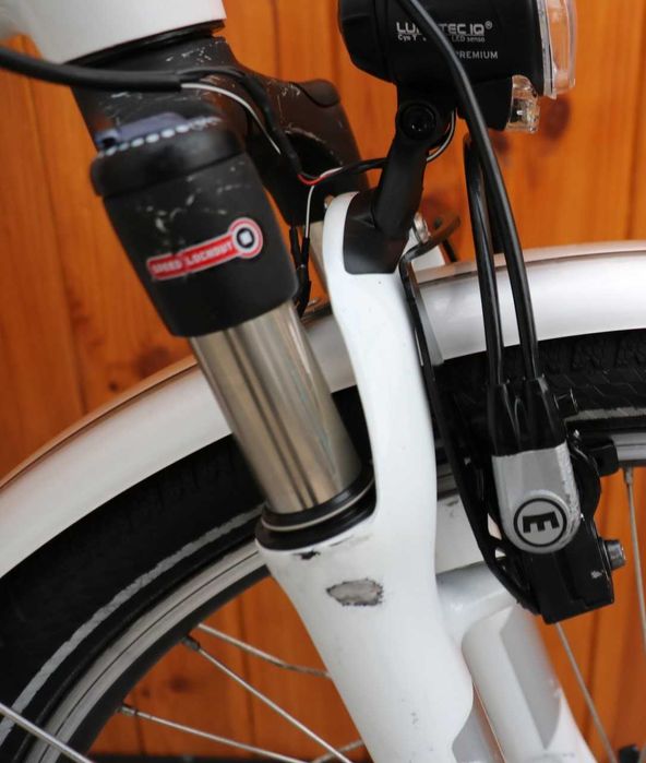 Rower elektryczny Flyer . D 50 .RATY