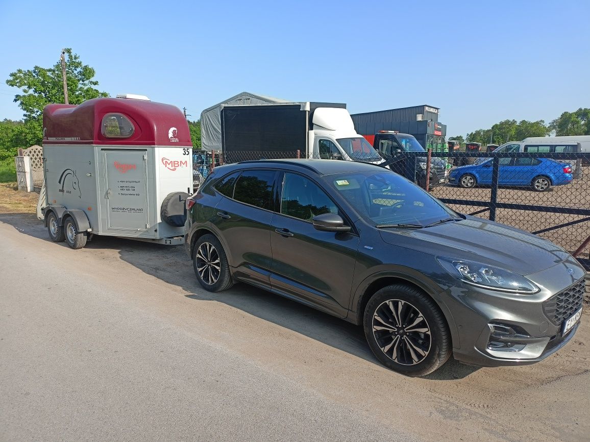 Najem długoterminowy KIA PICANTO 2023 r,  2300 zł/miesiąc MBM wypożycz