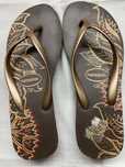 Chinelas/havaianas