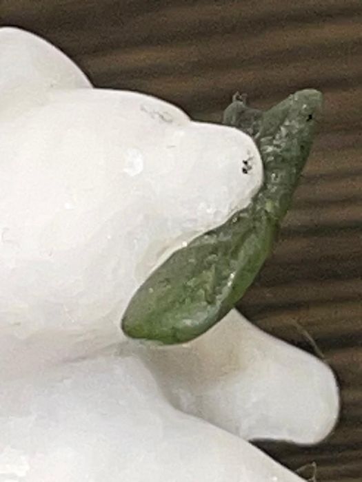 Мраморный медведь с нефритовыми элементами