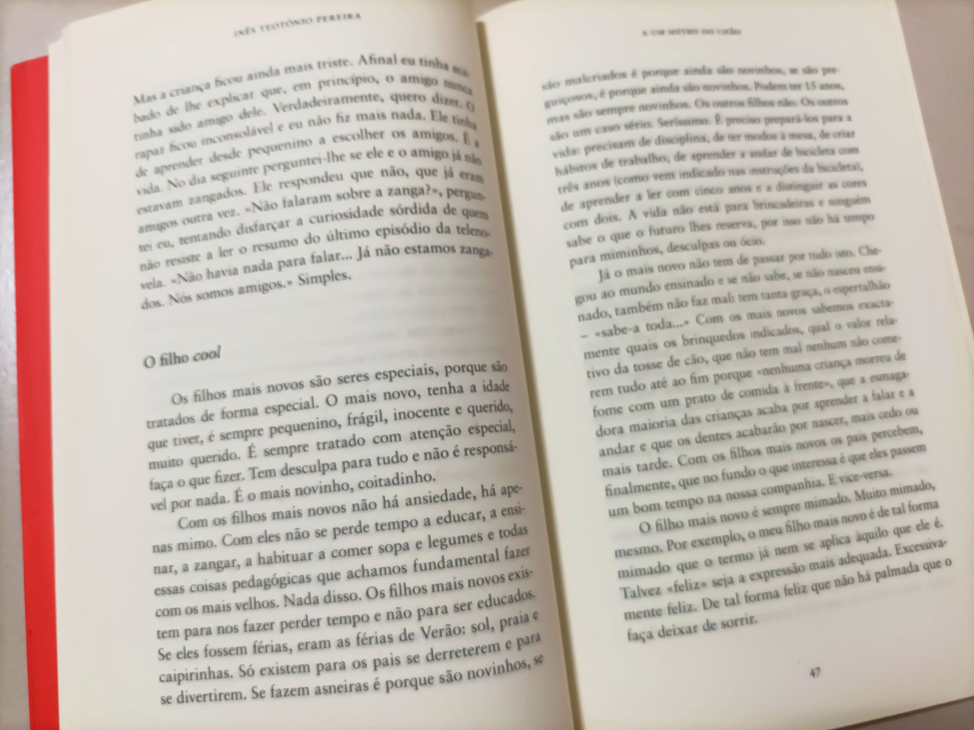 Livro: A um metro do chão de Inês Teotônio Pereira