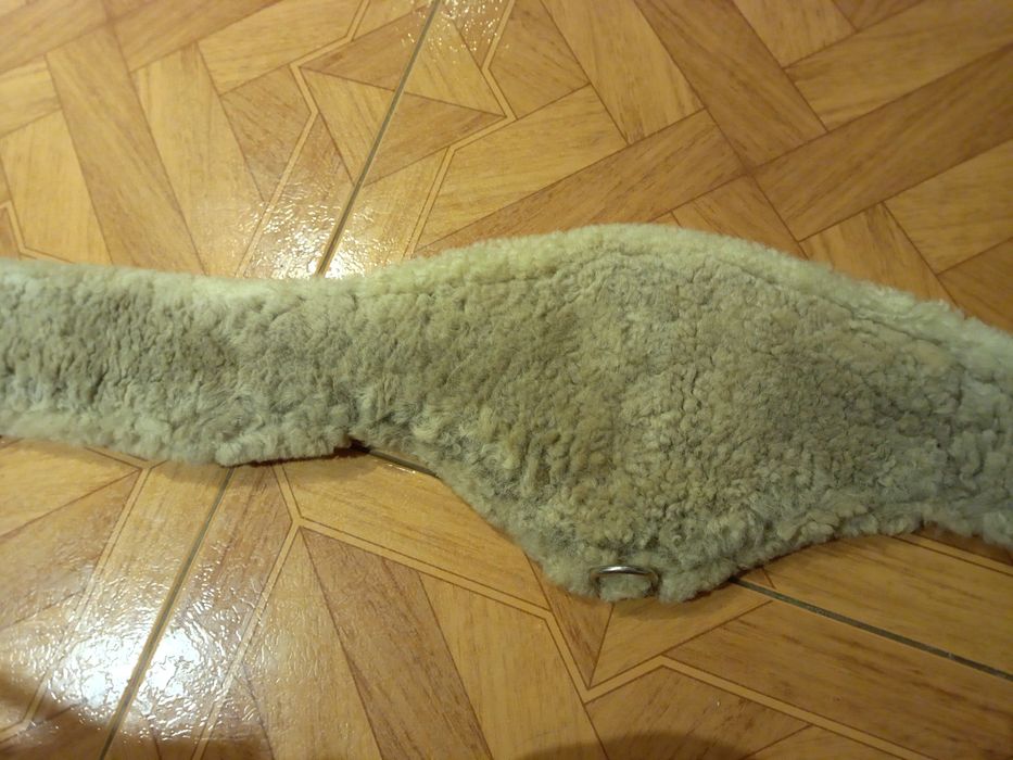 Popręg wszechstronny anatomiczny