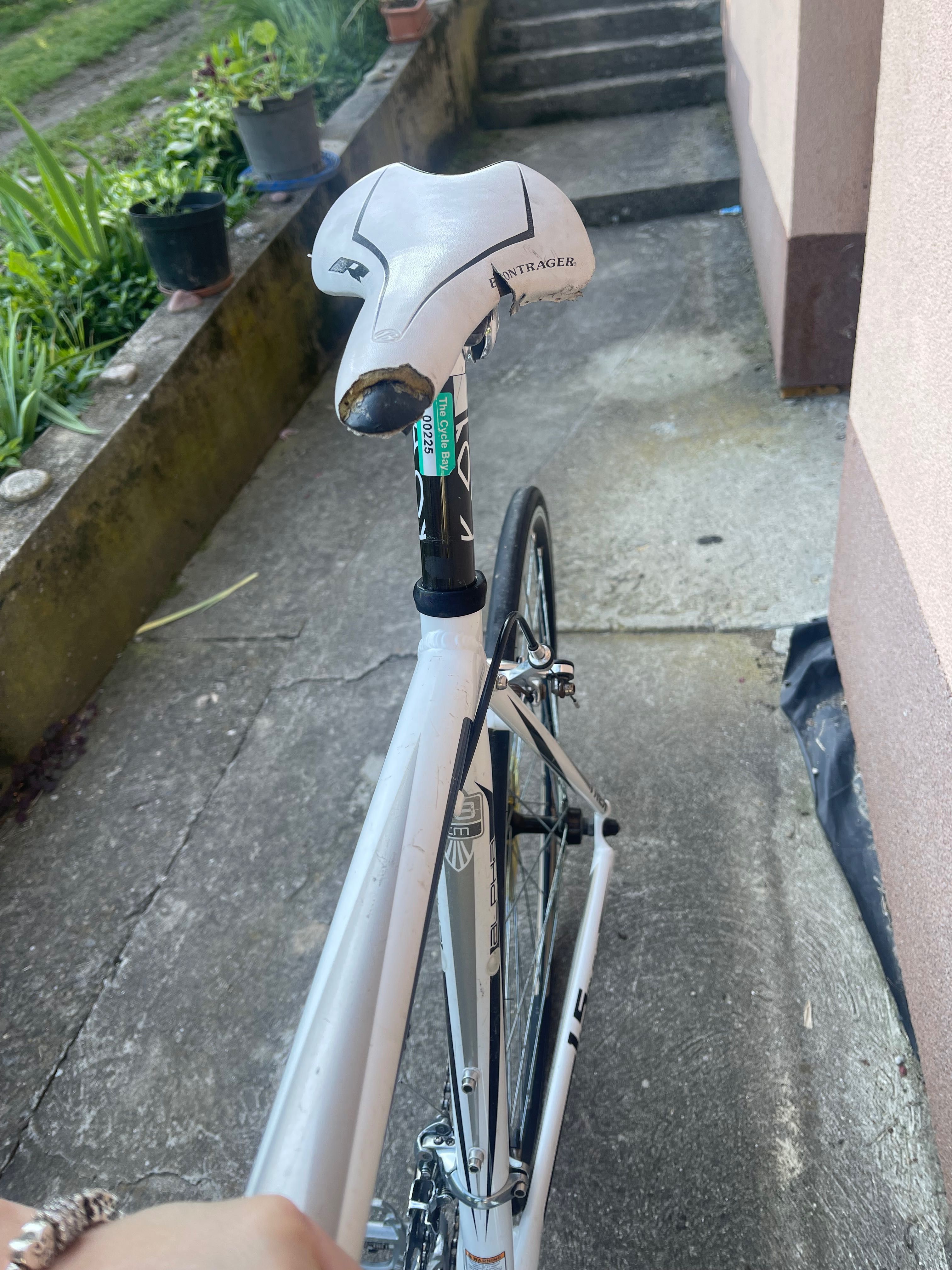 Rower szosowy Trek Alpha
