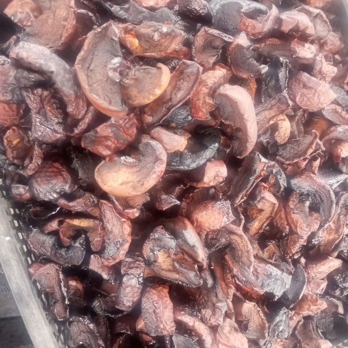 Продам сушені яблука і груші на дровах