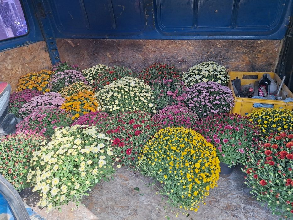 Грузоперевозки , грузовое такси  Поселок Котовского , переезды ,вывоз