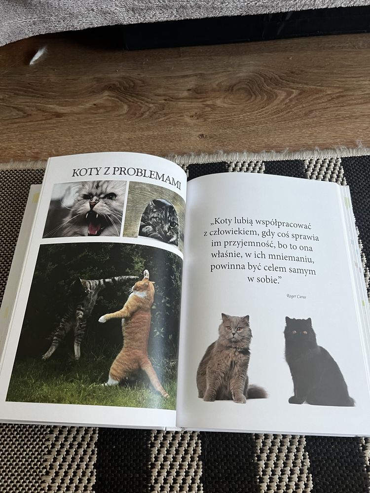 książka “Mój kot niezbędny poradnik”