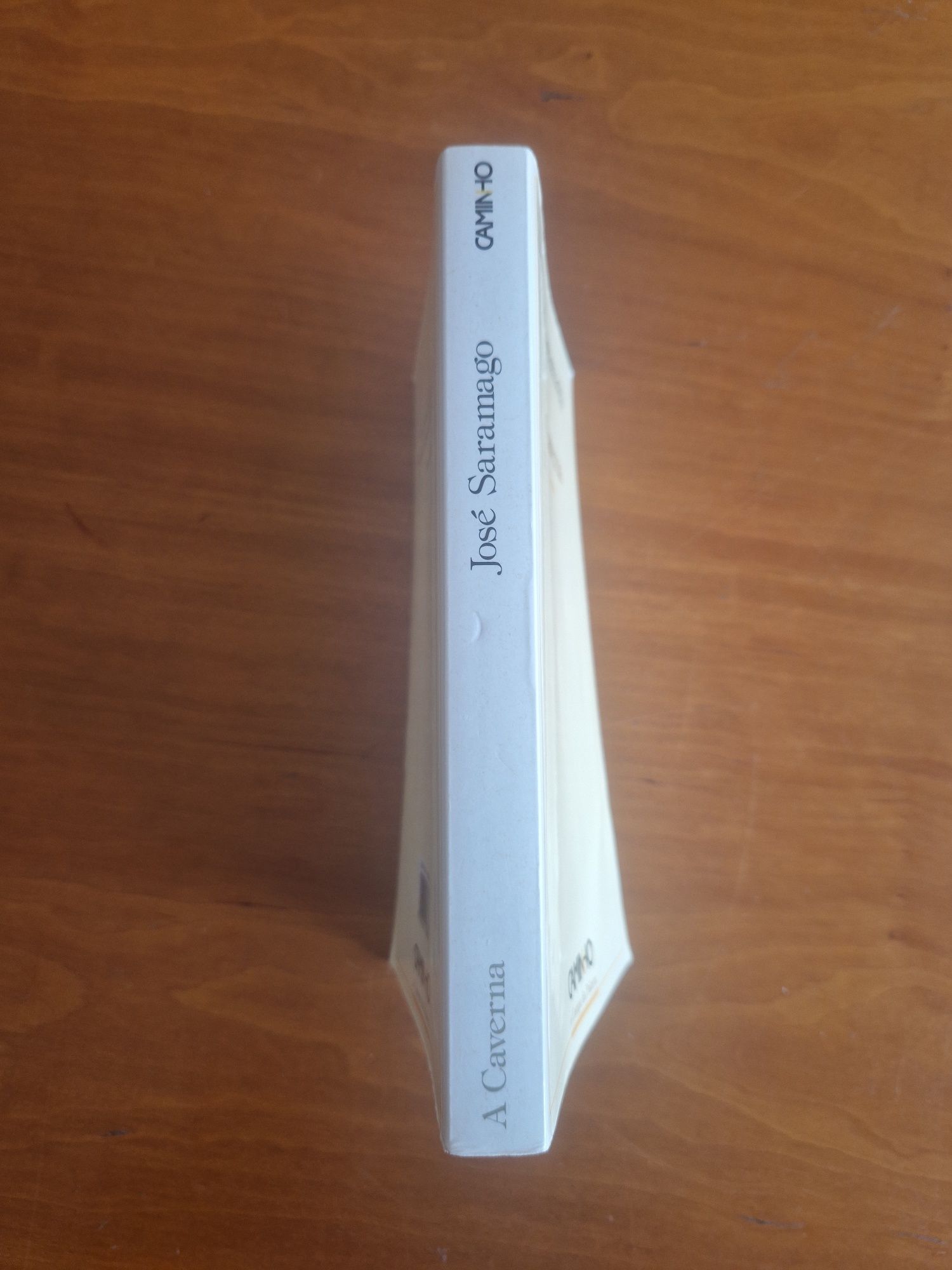 Romance "A Caverna", José Saramago