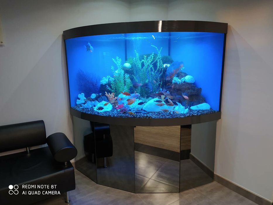 Аквариумы под заказ Киев