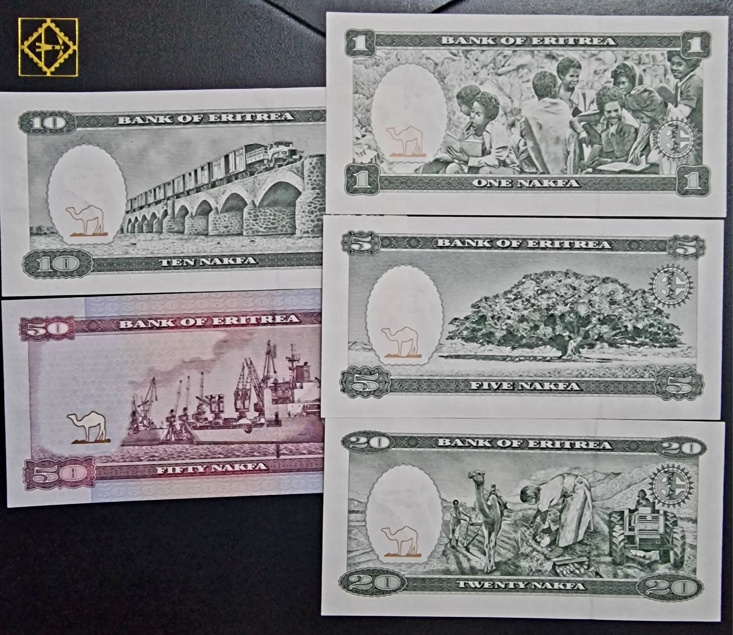 Erytrea banknot Banknoty zestaw 5 sztuk UNC