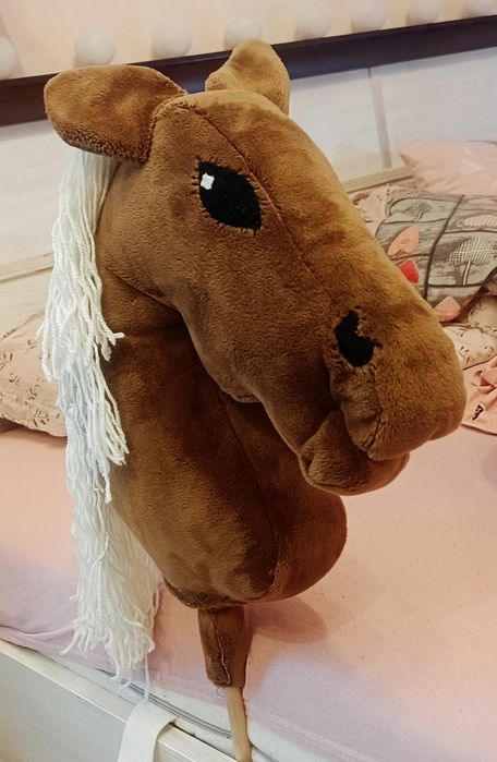 Hobby Horse szuka domu