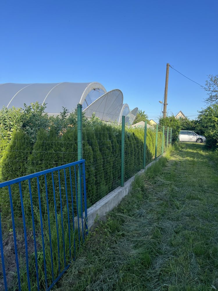 Дачна ділянка (це 3 дачі разом)масив Дружба
