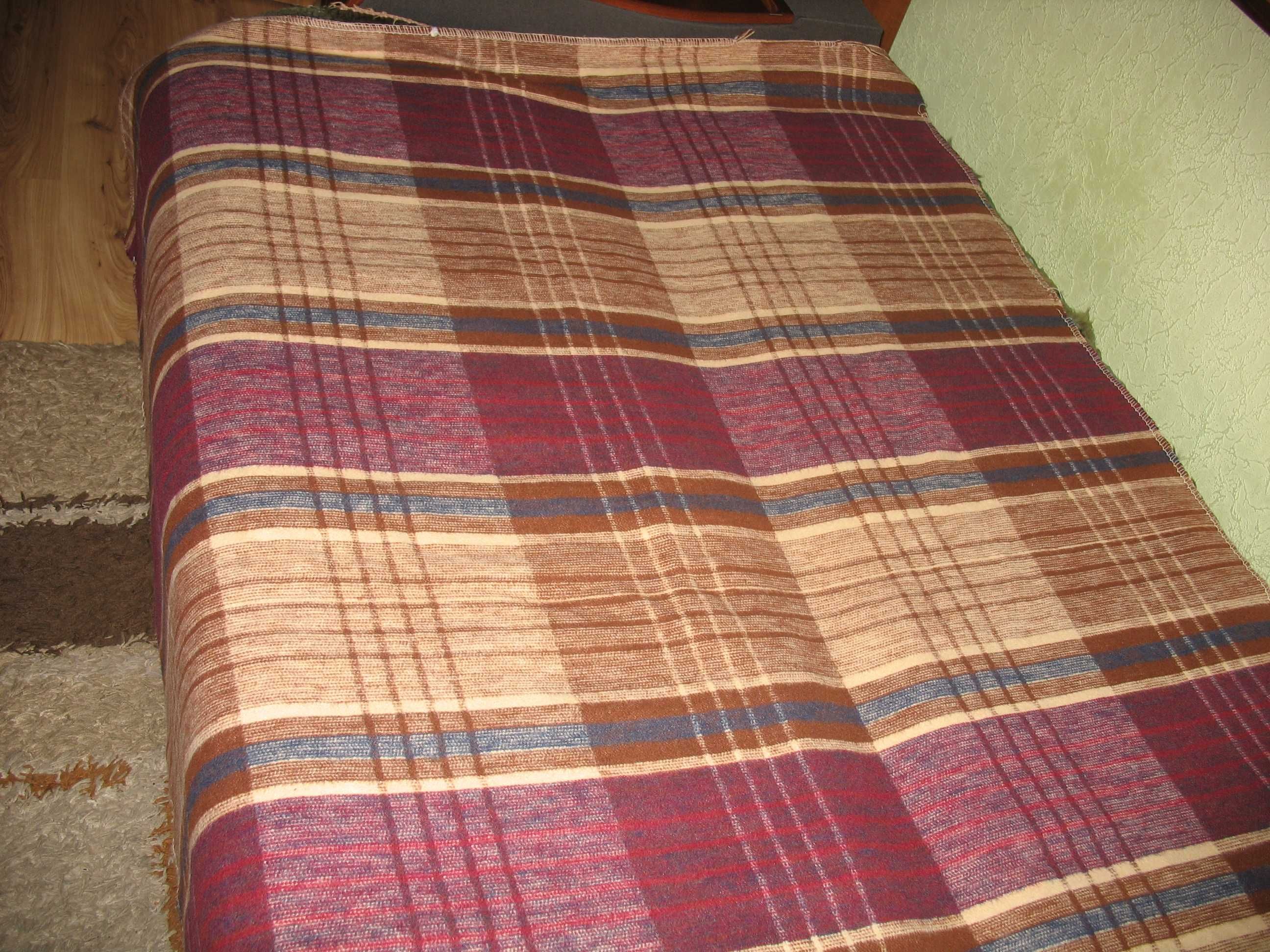 Koc typowy w kratę.