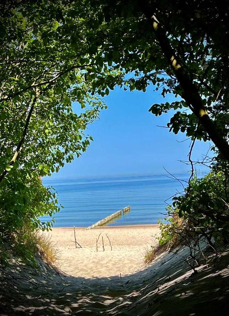 Domek nad morzem. Cisza, spokój, na uboczu. Wolnostojący.