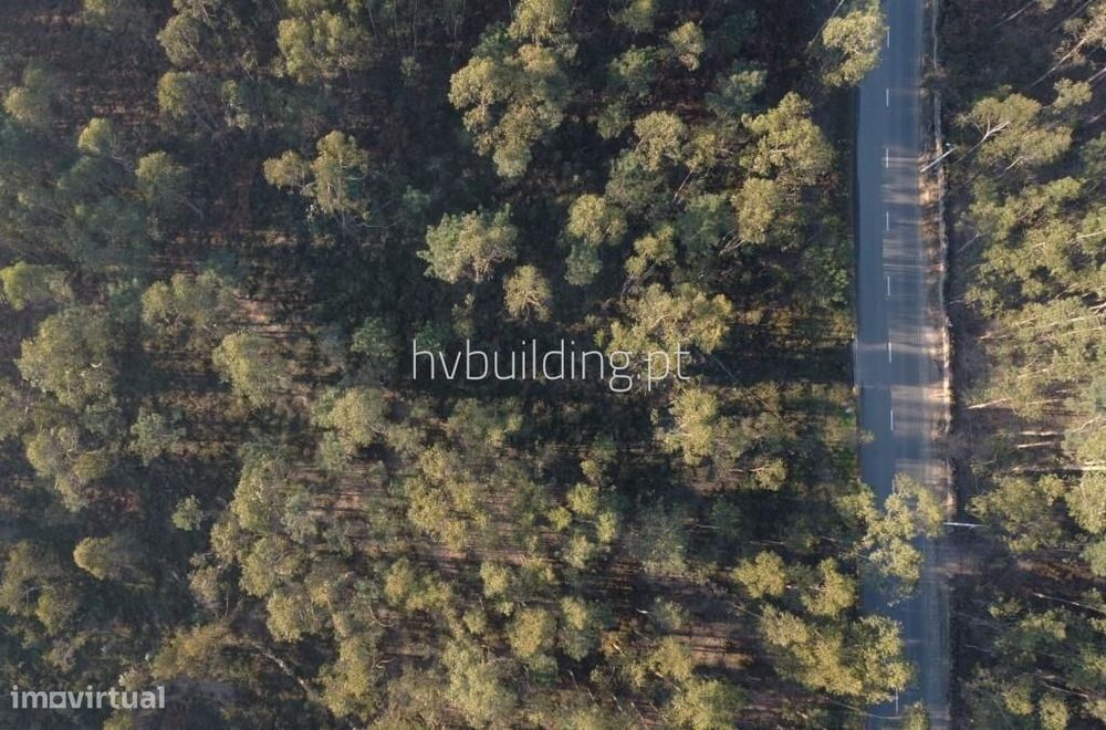 Terreno para construção em Remelhe, Barcelos