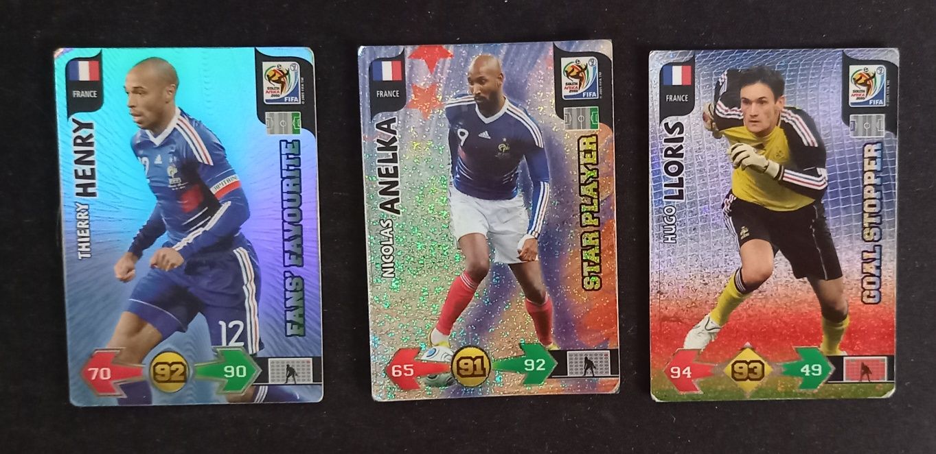 Karty Panini World Cup 2010 - Reprezentacja Francji