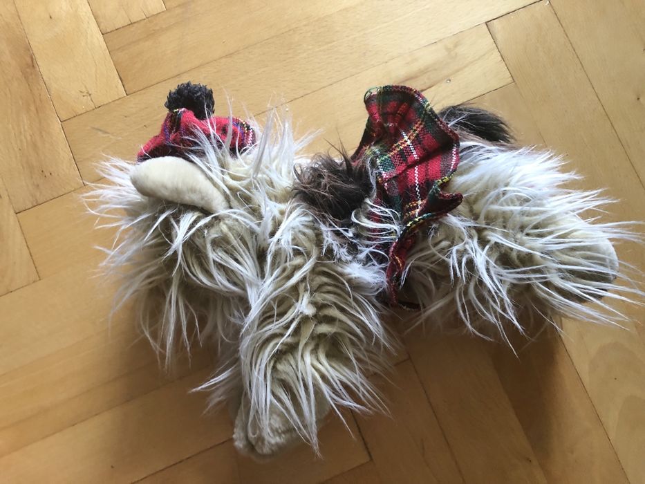 Maskotka piesek York, ze Szkocji