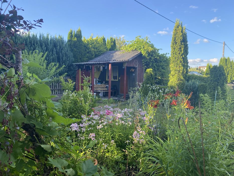 Działka ogrodowa nr 524 w Suwałkach im. Jaćwingów