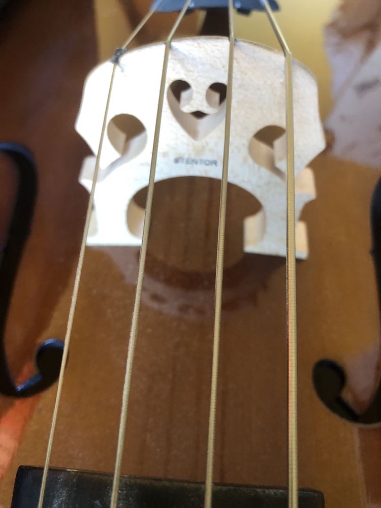 Violoncelo Stentor 3/4 em excelente estado
