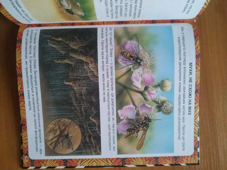 Енциклопедії для дітей