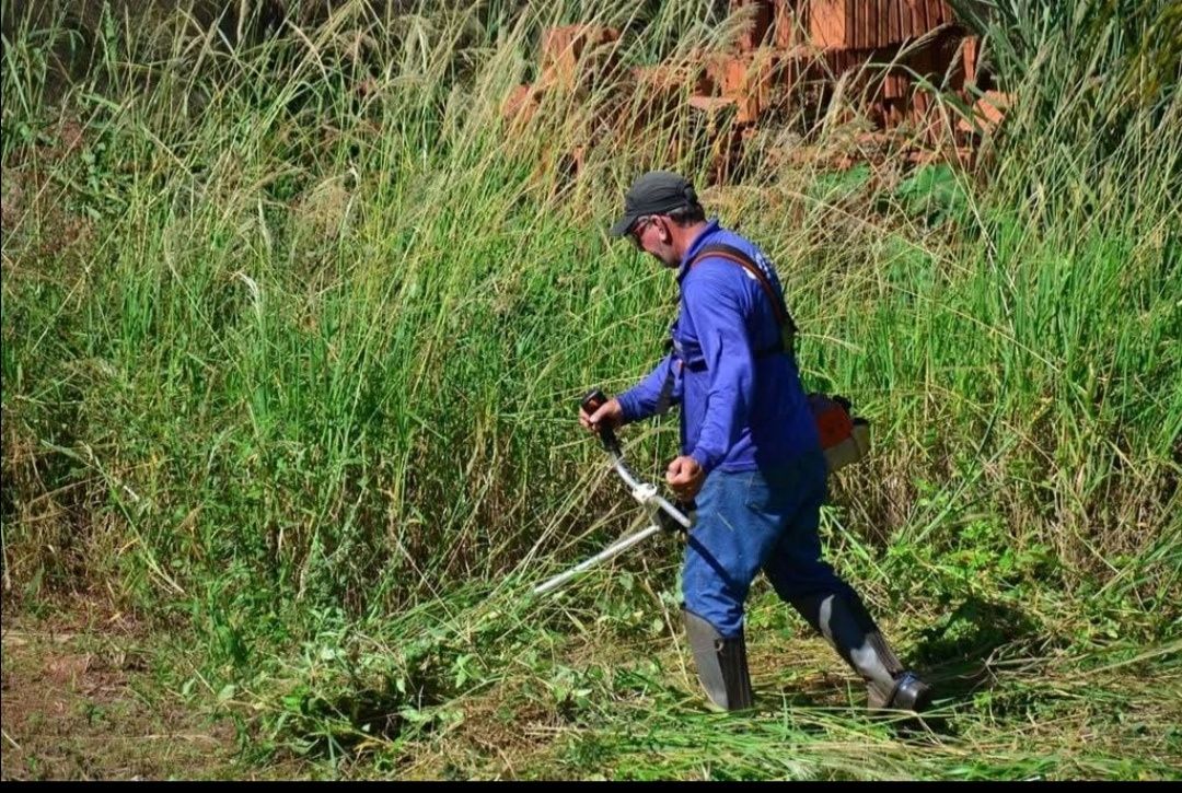 Prestação de serviços agrícolas