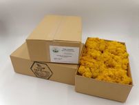 mech chrobotek reniferowy 0,5kg yellow
