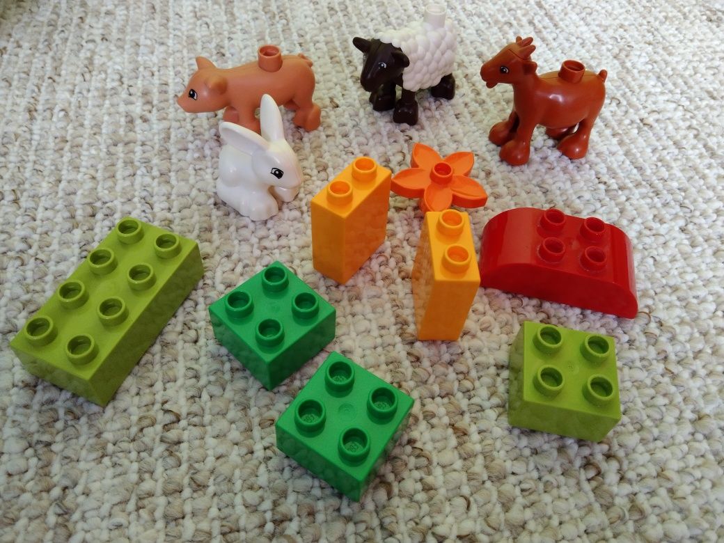 LEGO Duplo zwierzęta klocki