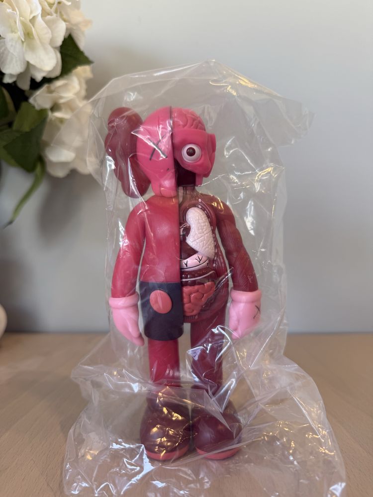 Kaws Anatomy Red