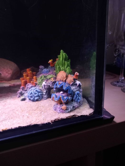 Aquário 144L Equipado e Pronto a Usar + Oferta de Dicas