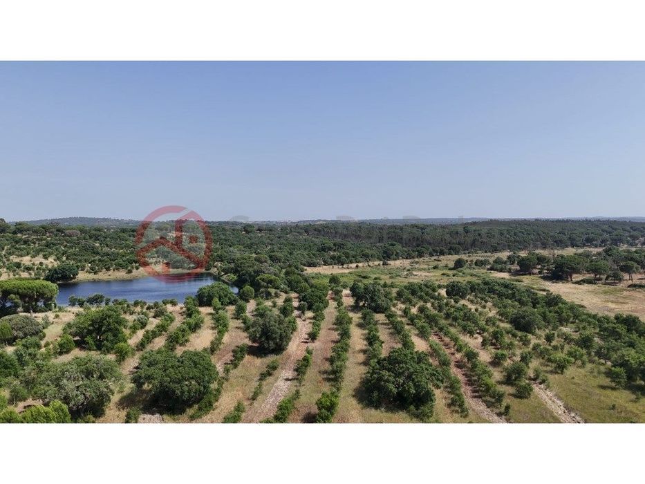 Herdade com 87 Hectares com Sobreiros, Eucaliptos, Pinheiros Mansos...