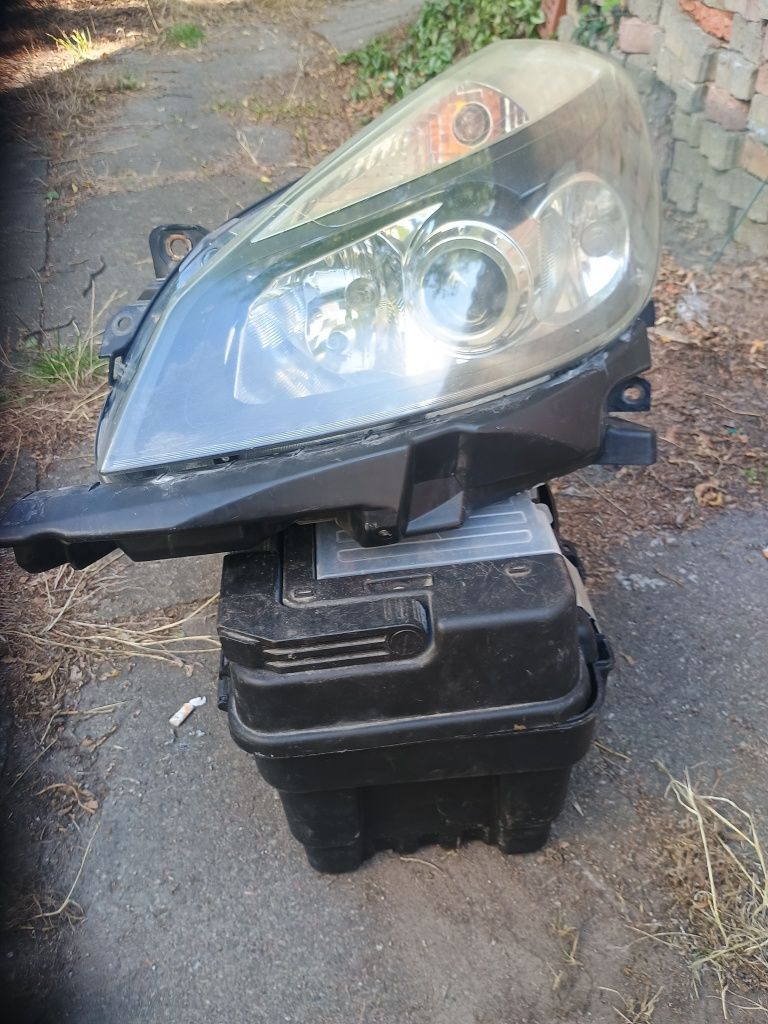 Lampy ksenon +doświetlanie zakrętów Clio 3 europa