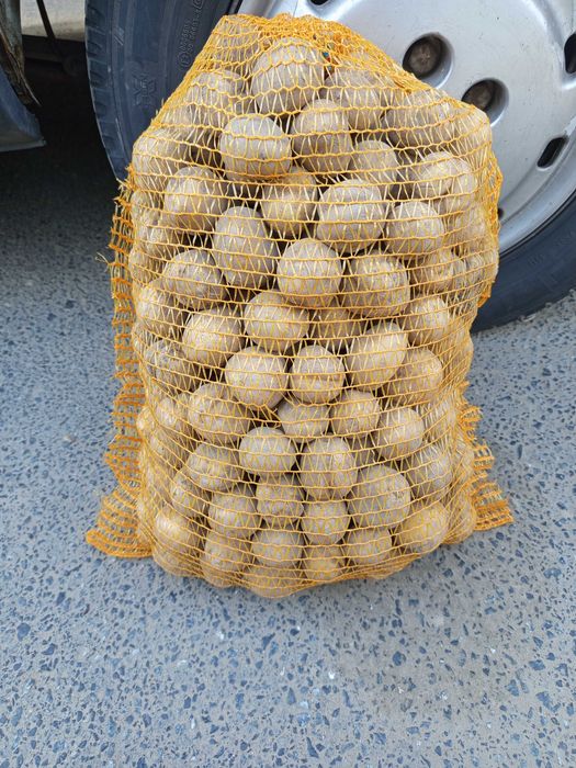 Drobne ziemniaki Vineta