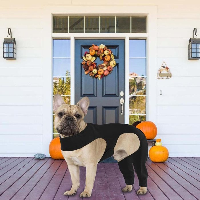 Regulowany rękaw na nogi psa r. M czarny na rzepy pooperacyji