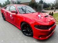 Wyjątkowy Dodge Charger 6.4L V8 do ślubu/na wesele !