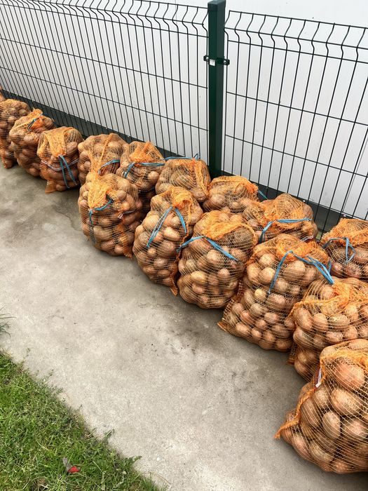 Ziemniaki bellarosa czerwone Od Rolnika