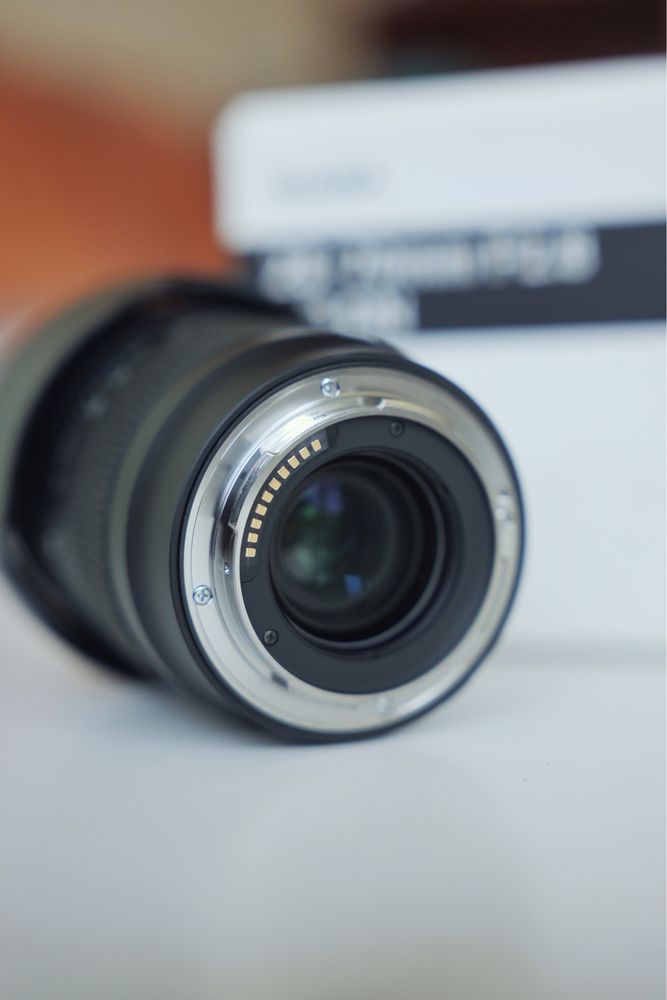 Sigma 28 - 70 f 2.8 (L-mount)