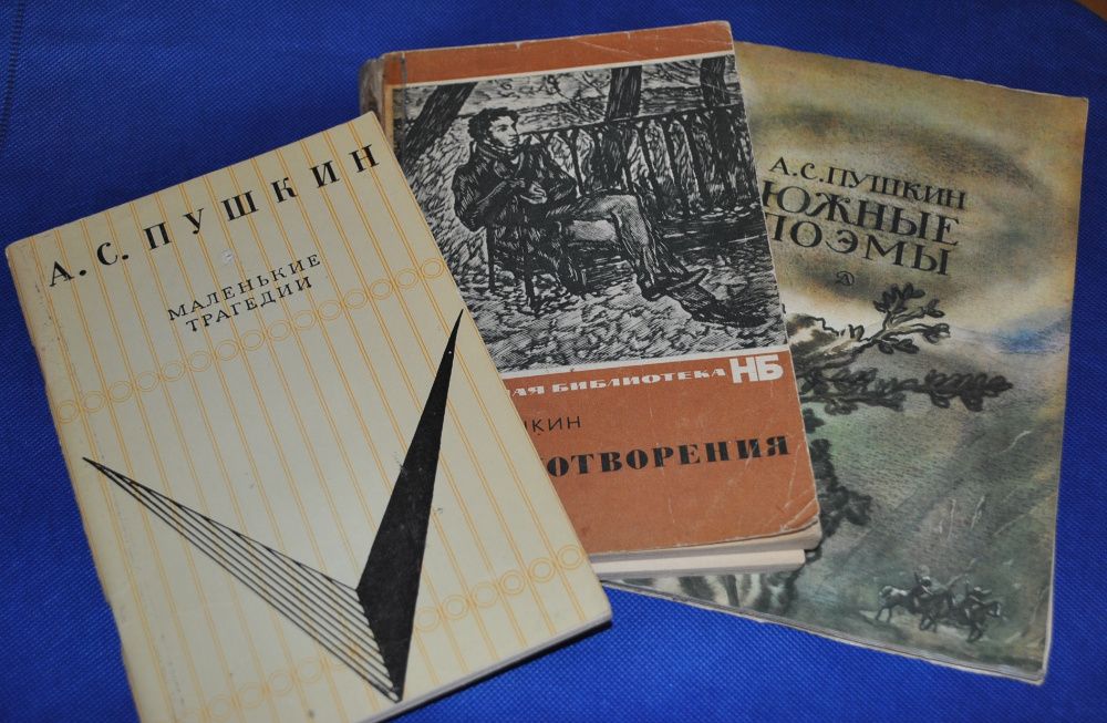 Пушкин Дубровский. Капитанская дочка Стихи Тургенев Ломоносов Мицкевич