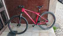 Bicicleta avalanche