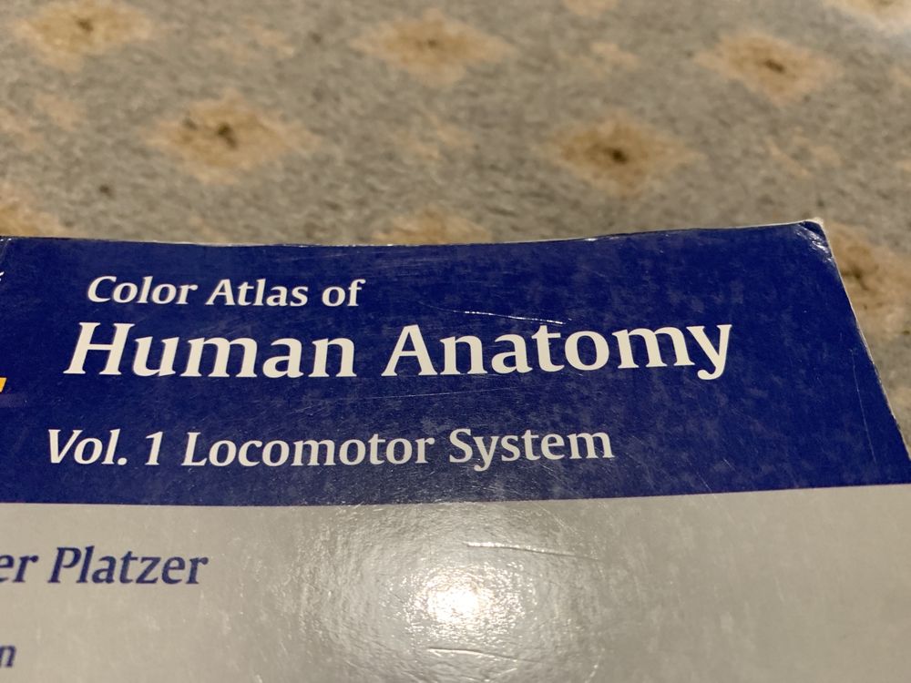 Color atlas of Human antomy - Locomotor System gilroy thieme