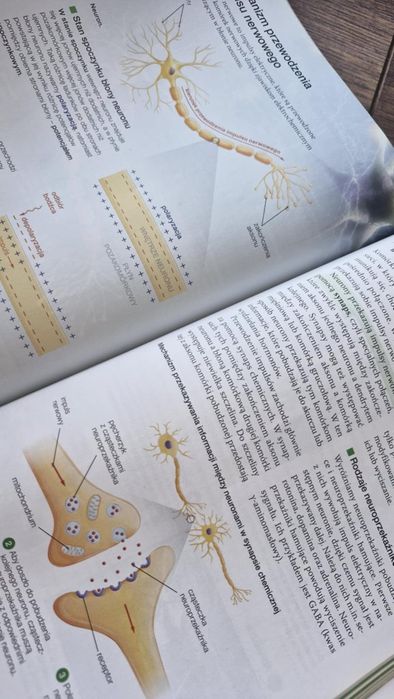 Biologia na czasie 2 Liceum ogólnokształcące