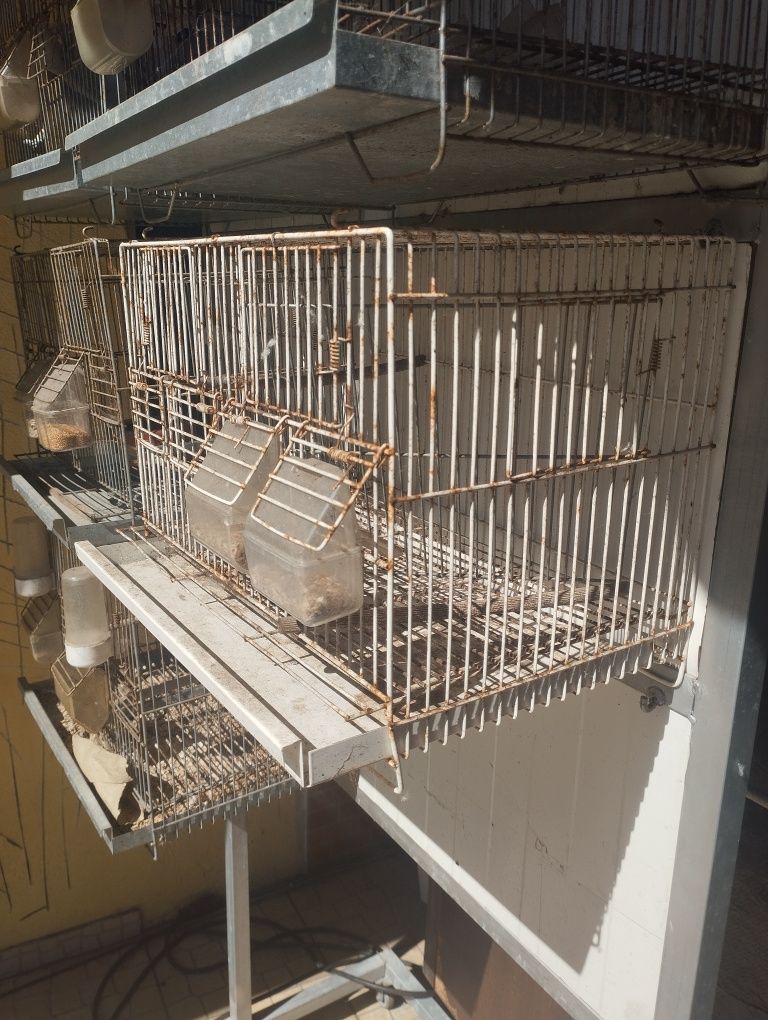 Gaiola para canários outros pássaros
