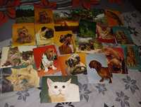 Sprzedam stare pocztówki zwierzęta
