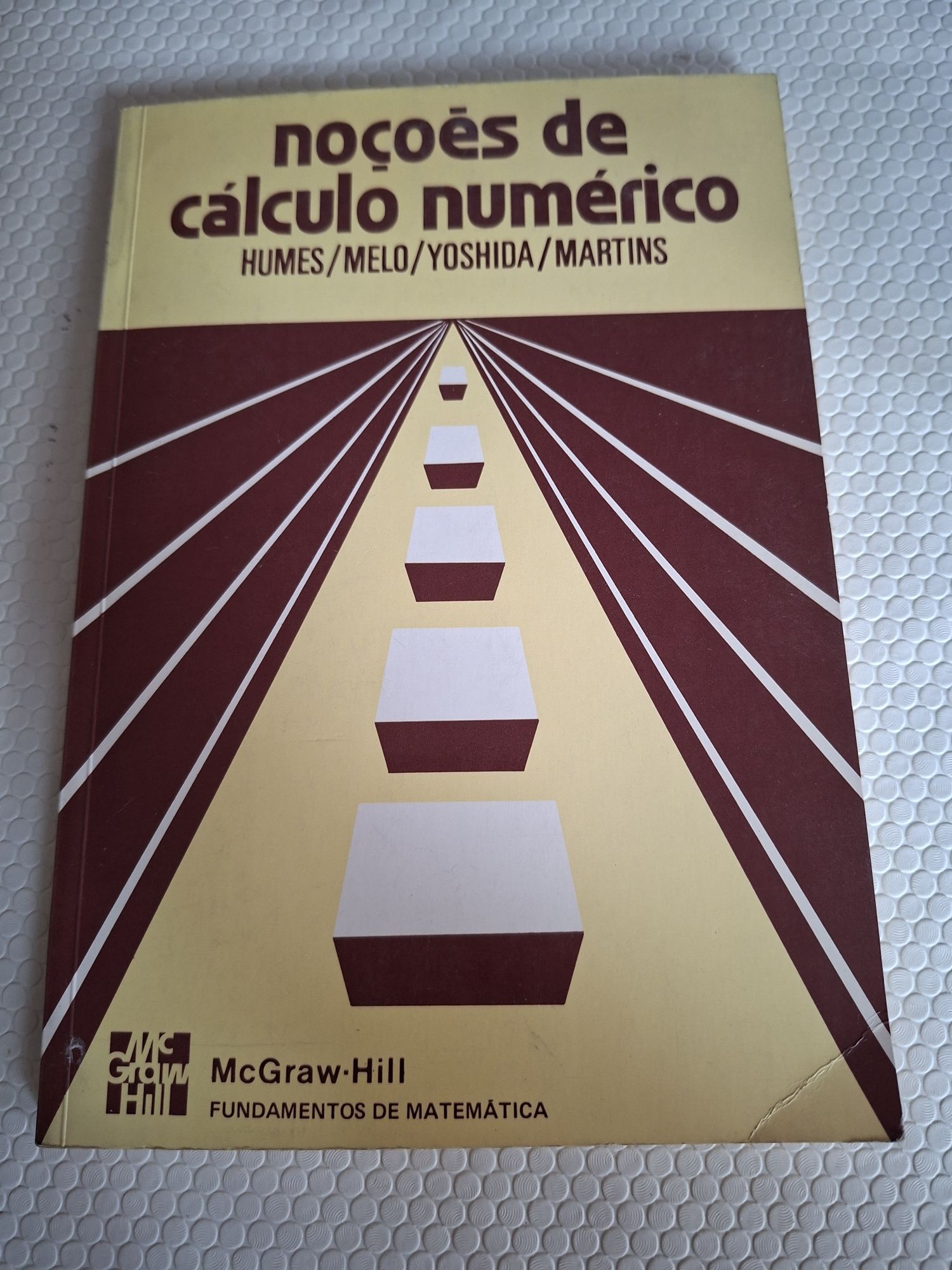 Livro Noções de cálculo numérico