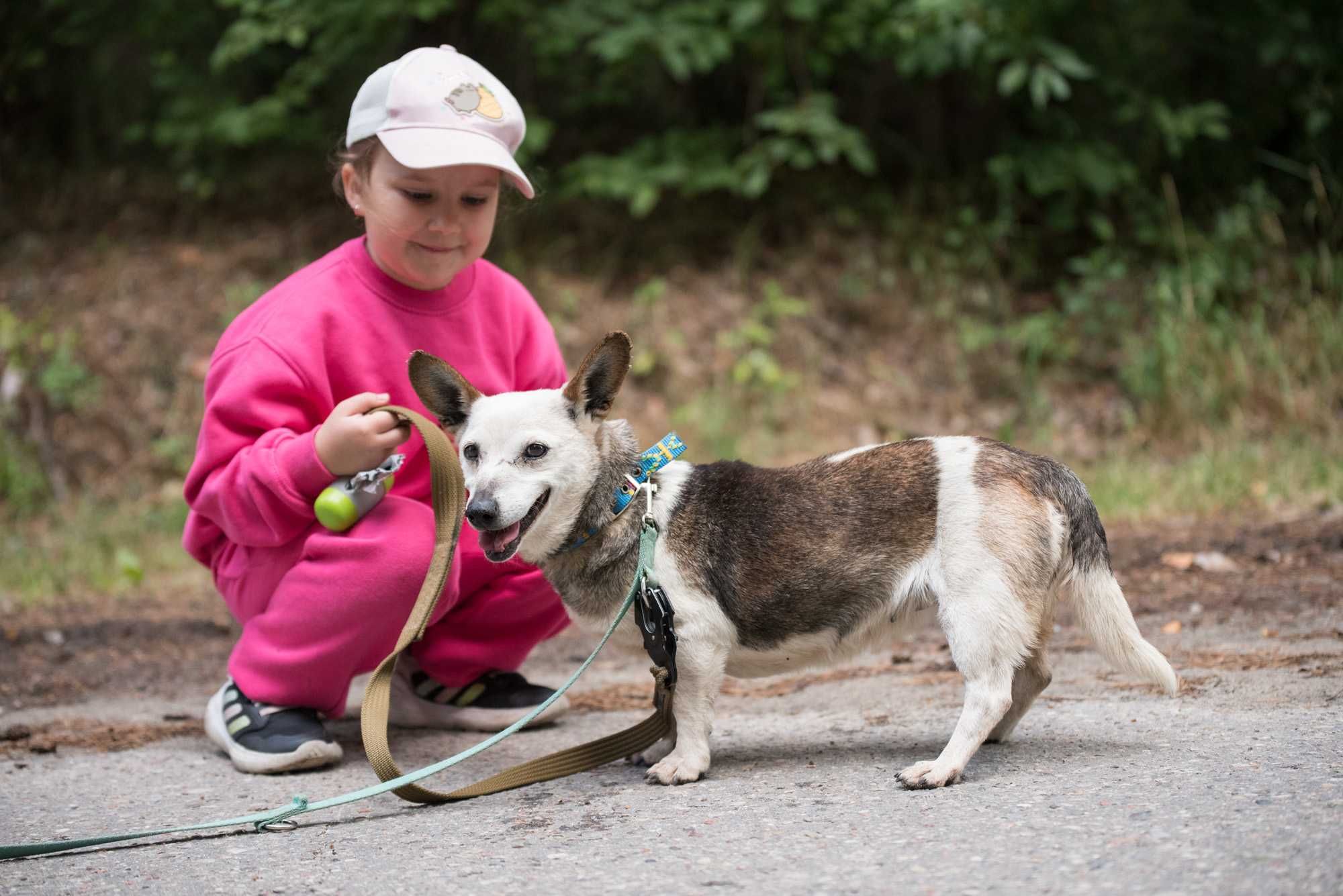 LOJA - cudowna dojrzała łagodna sunia do adopcji