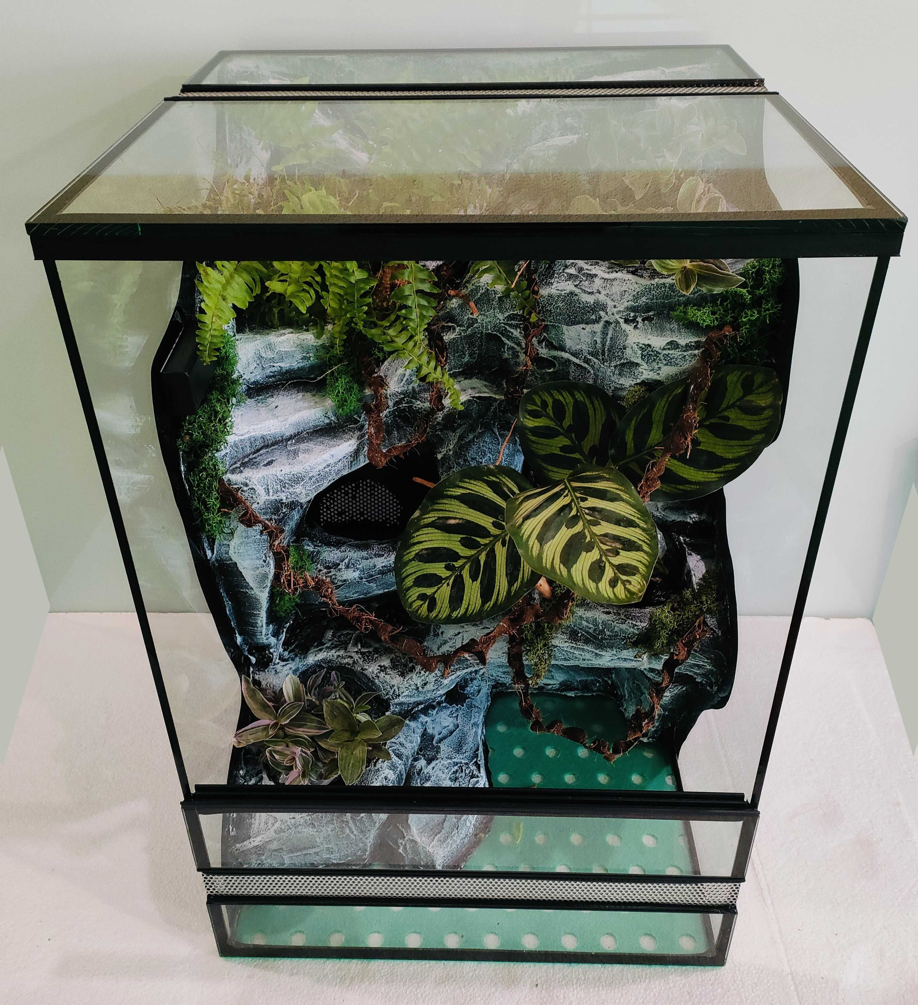 Terrarium dla gekona orzęsionego z wodospadem AquaWaves TW62WSz
