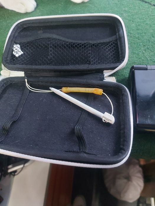 2 jogos para Nintendo bs lite