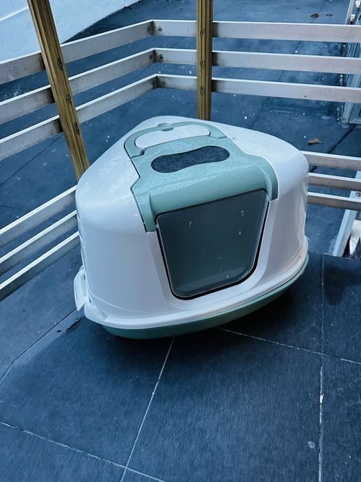 Wc para gatos gatos como nova