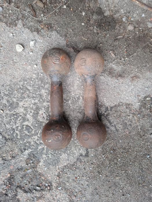 Чугунні литі гантелі 2кг/3кг