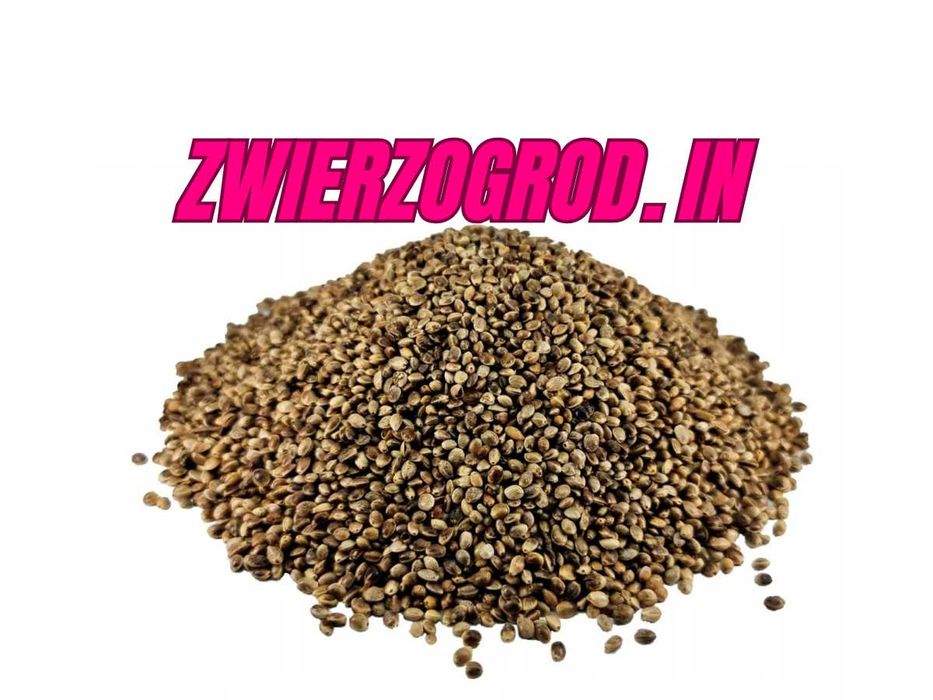 Konopia 1 kg dla ptaków gołąb kanarek papuga ** zwierzogrod.in **