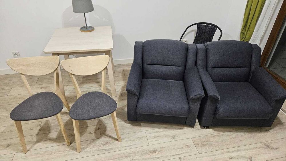 Karcher Pranie Tapicerki Dywanów Wykładzin Samochodów