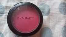 Róż Mac Full fuchsia